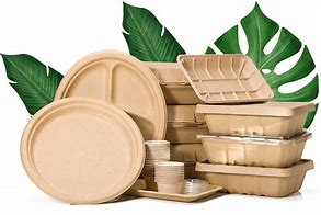 Image result for Eco-Friendly Food Packaging