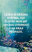 Image result for Obrazky O Lasce