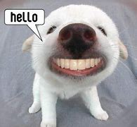 Image result for Silly Funny Hello