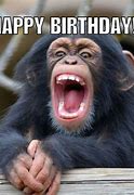 Image result for Cool Monkey Meme Birthday
