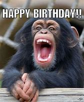 Image result for Silly Happy Birthday Monkey