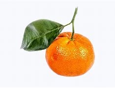 Tangerine 的图像结果