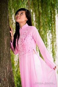 Image result for Ao Dai Vietnamese Dress