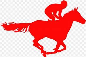 Image result for Jockey Colour Horse Racing