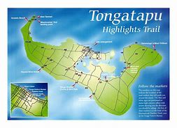 Image result for tonga island map