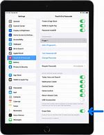 Image result for Evade Settings iPad