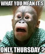 Image result for Funny Thursday Monkey Memes