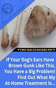 Image result for Wart On Dog's Ear