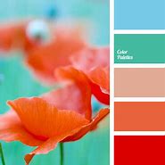 Image result for iPhone Red Colour