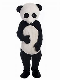 Image result for Panda Costume