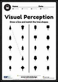 Image result for Visual Perception Test for Kids