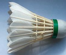 Image result for Badminton and Shuttle