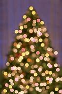 Image result for Christmas Backdrop Christmas Tree