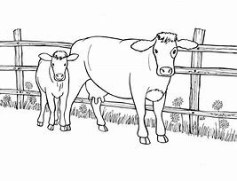 Image result for Show Cow Coloring Pages