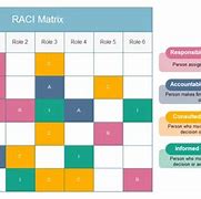 Image result for PMI Raci Template