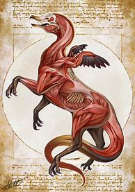 Image result for Mythical Creature Anatomy