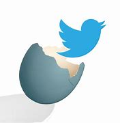 Image result for Twitter Bird Text Icon