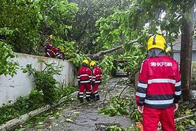 Image result for Typhoon Saola Guangdong