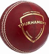 Image result for Cricket Leather Ball SG
