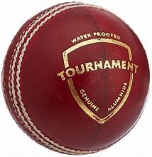Image result for Red Leather Cricket Ball