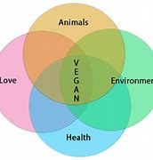 Image result for Different Between Vegeterian Vegan