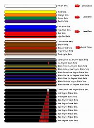 Image result for martial art rank system