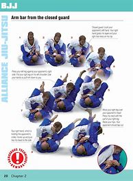 Image result for Jiu Jitsu Techniques List