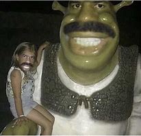 Image result for Mexican Shrek Meme