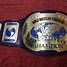 Image result for WWF Intercontinental Championship Belt