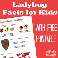 Image result for Fun Bug Facts for Kids