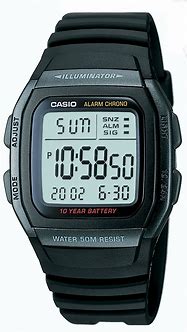 Image result for Casio Plastic Watch