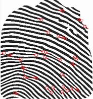 Image result for Fingerprint Comparison
