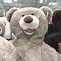 Image result for Big Teddy Bear Costco 53 Inch