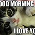 Image result for Love Memes Wuotes