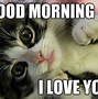 Image result for Quotes About Love Memes