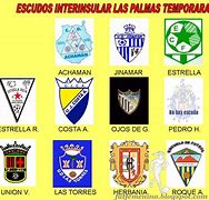 Image result for interinsular
