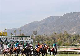 Image result for Santa Anita Corgi Race