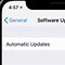 Image result for iOS Settings Developer iPad