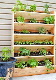 Image result for Vertical Vegetable Garden Ideas