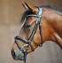 Image result for Kimblewick Bridles On Horses