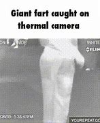 Image result for Thermal Camera Fart