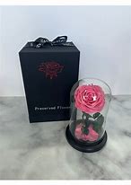Image result for Pink Forever Rose