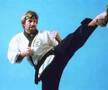 Image result for Chuck Norris Fight