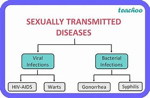Image result for Sexually Transmitted Infection Diagram