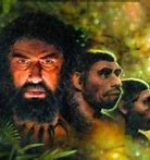 Image result for hominicaco