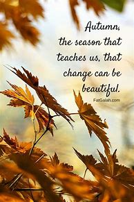 Image result for Inspirational Quotes About Fall