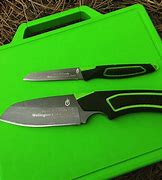 Image result for Gerber Kitchen Knife Set