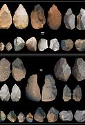 Image result for Homo Erectus Stone Tools