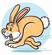 Image result for Rabbit Run Cartoon
