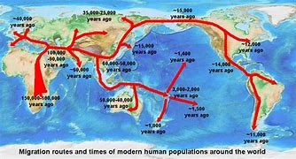 Image result for Human Evolution Migration
